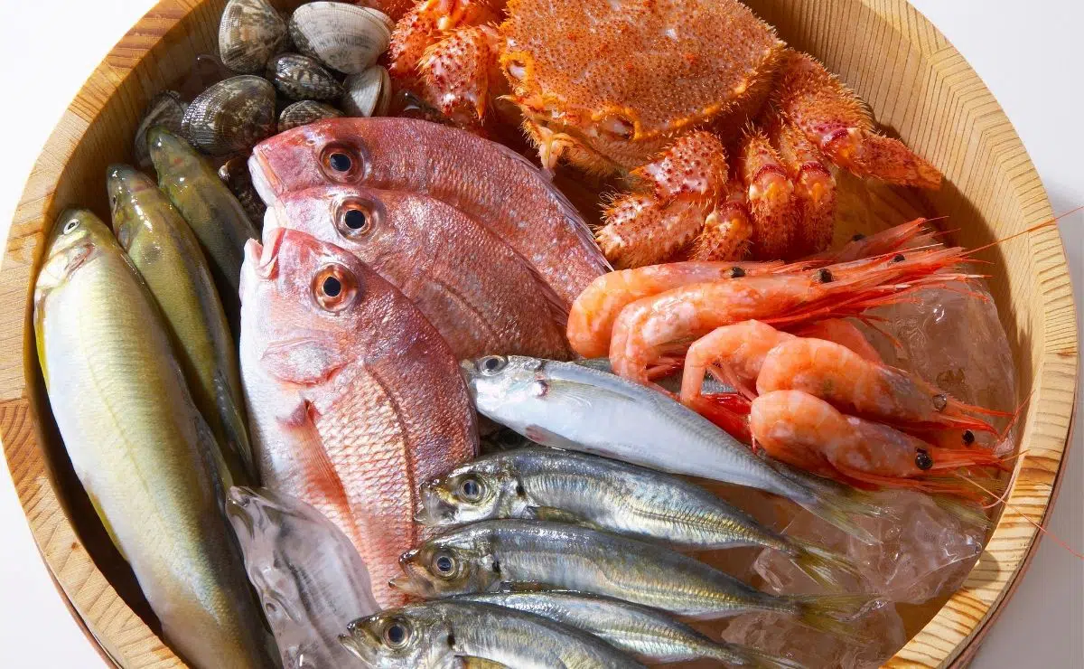 mar-marisco-pescado-vitamina-D-2.jpg