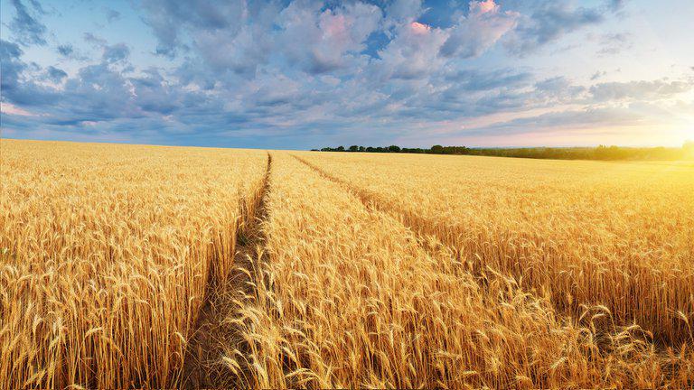 TQ5SLCLKHNAL5L4JVGWYNAOBZY