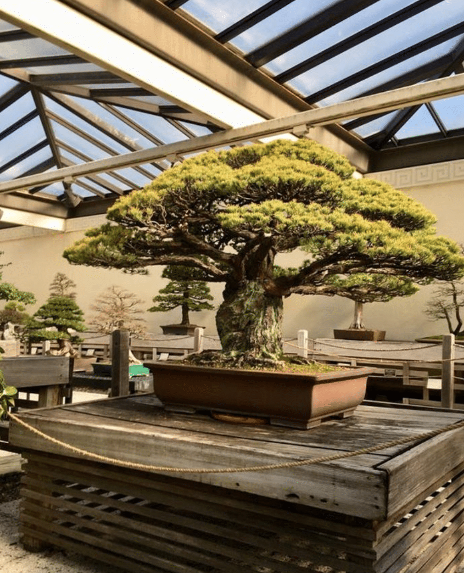 Captura-de-Pantalla-2020-06-26-a-las-13.46.30