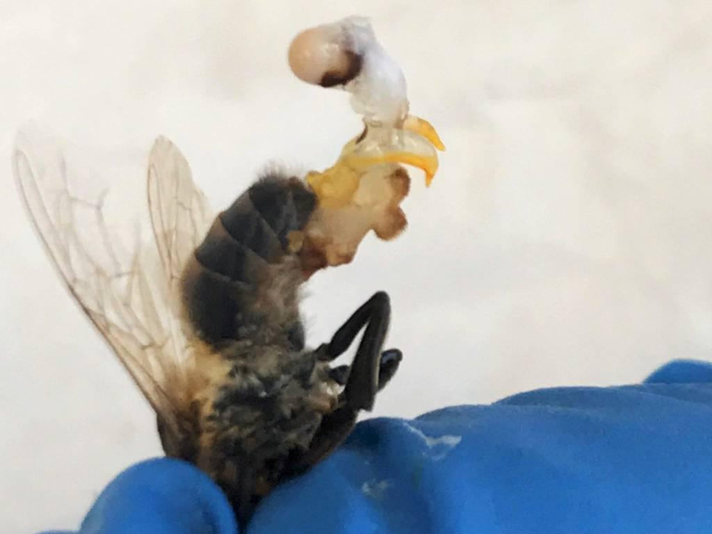 H3V4IEFGEZBCPCDLL7SJLGRYDE