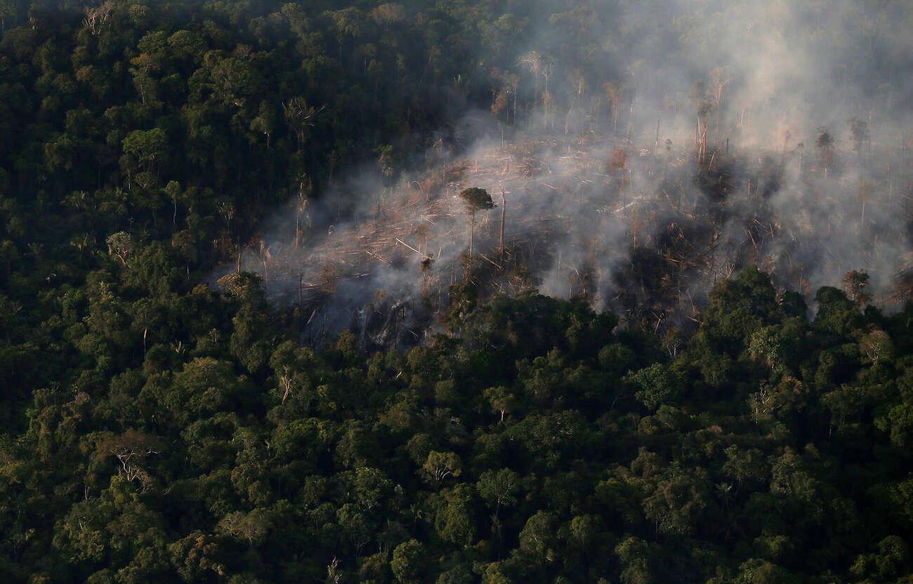 image1-burnt-forest