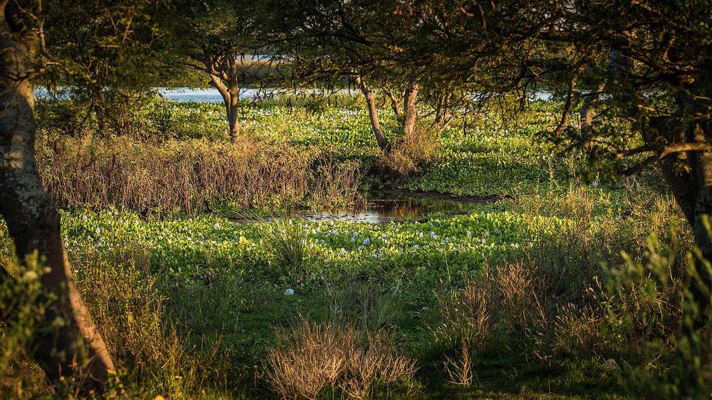 6437d8fb-10-eduardo-bodino-32-1536x864