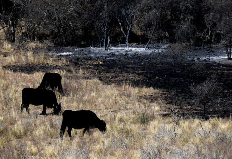 6-Foto-de-Guille-Gaglliano-768x527