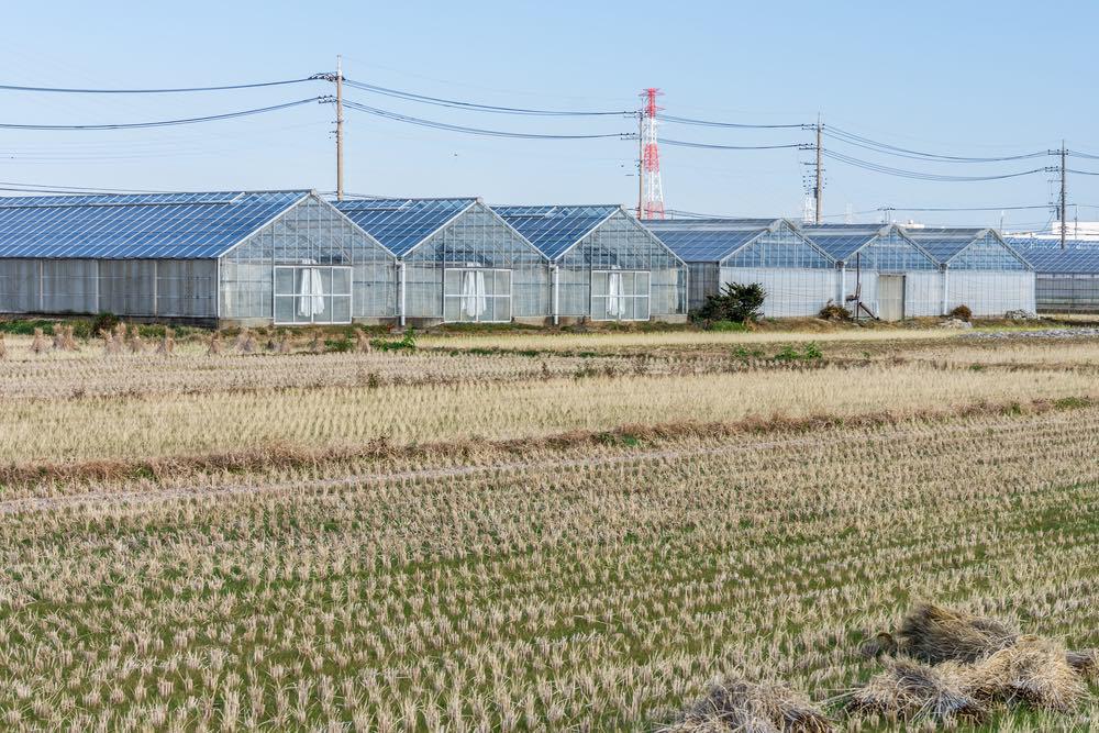 Invernaderos-solares