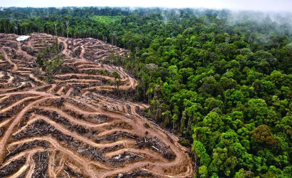 7SOPHVJQA5CXLFI2E4ZV7LCFPM