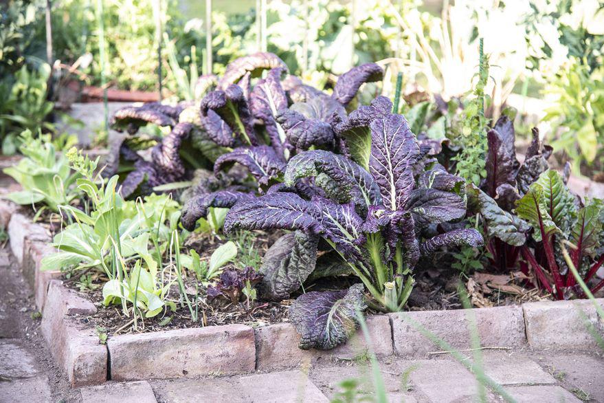 YVEMTMHTAVH73OXYBGY6IKHARE