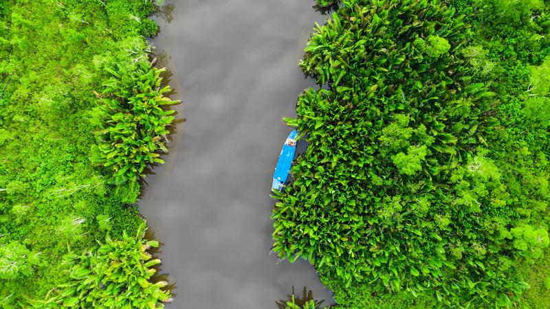 pueblos-indigenas-protegen-biodiversidad