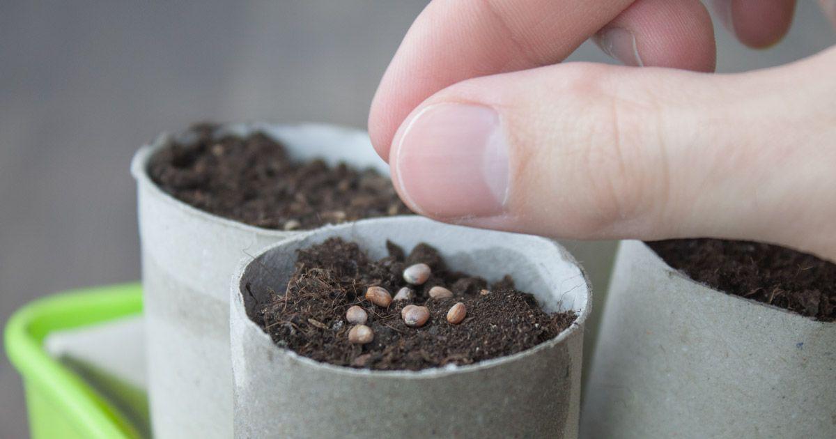 dcec72e26e4ed2dae0c11bb45815af4a