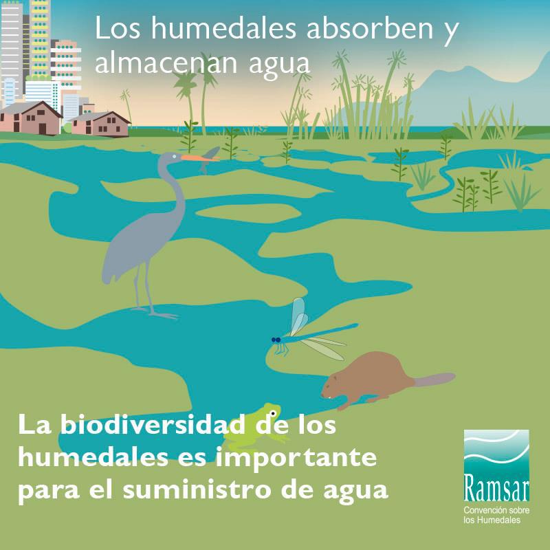 82800560_10157364643877284_8195393707868946432_n