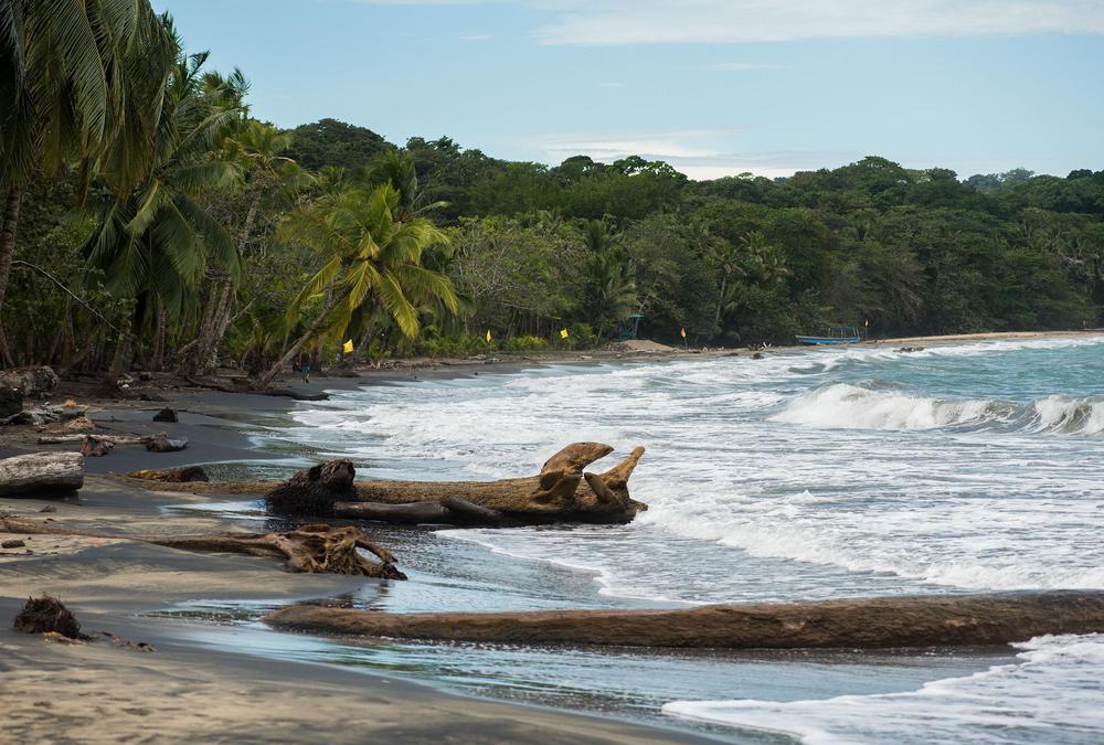 9ca8ca0f-43c1-481d-ad88-ccce0e3d746d