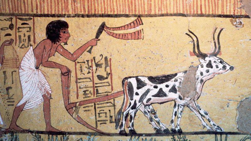 _110006602_8d5b8f1c-455c-4143-b5f0-cdbdd933381a