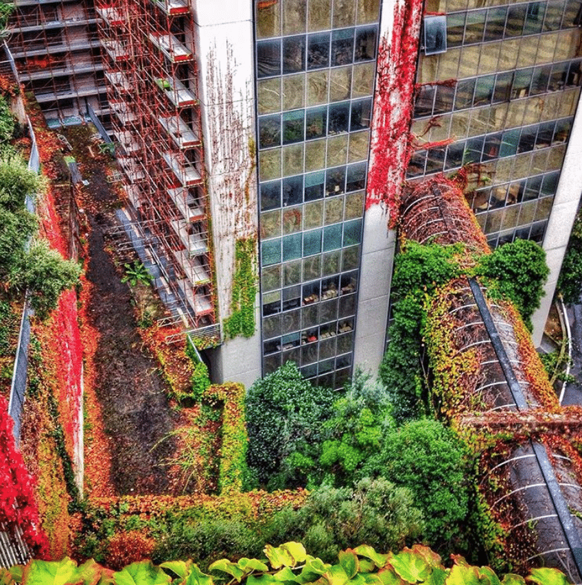 Captura-de-Pantalla-2020-06-26-a-las-13.52.25