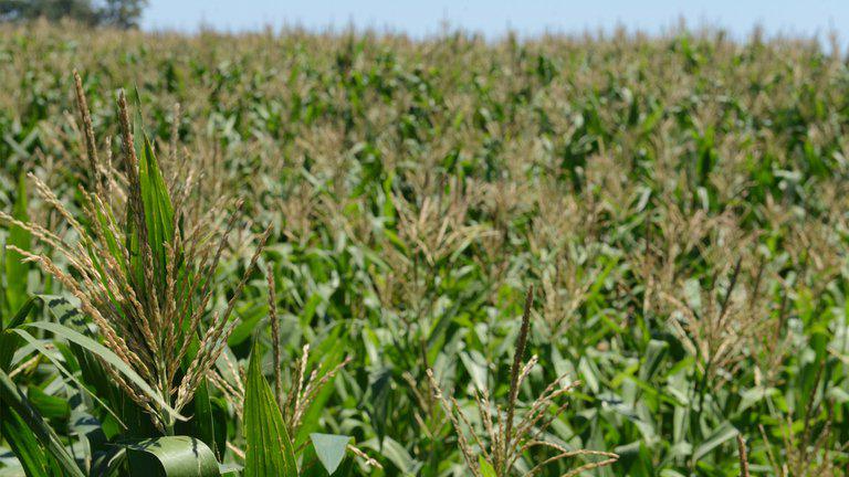 RRZ2WXGAHNAEVF7AZC4LEUE7T4