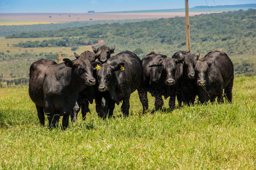 L5YG5ZGFVZEERI2MS2WUO5SC6U