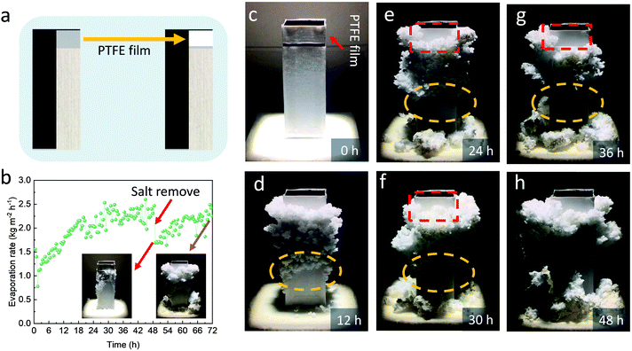 un-sistema-de-refrigeracion-sin-electricidad-que-funciona-a-luz-solar-y-agua-salada-20220305-El-Horticultor-1
