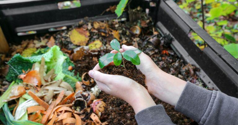 f768x1-14362_14489_5050