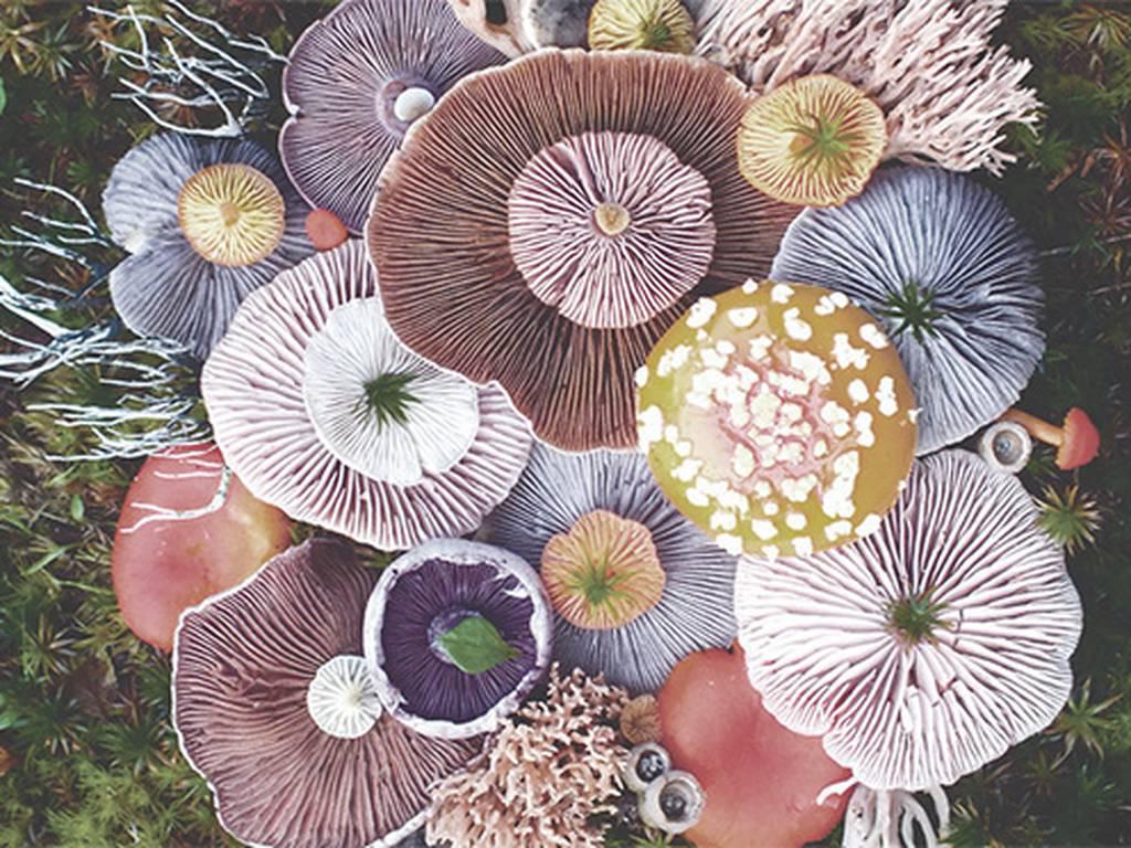 VIMDHZVNE5CXNAMWGV2OAABDIU