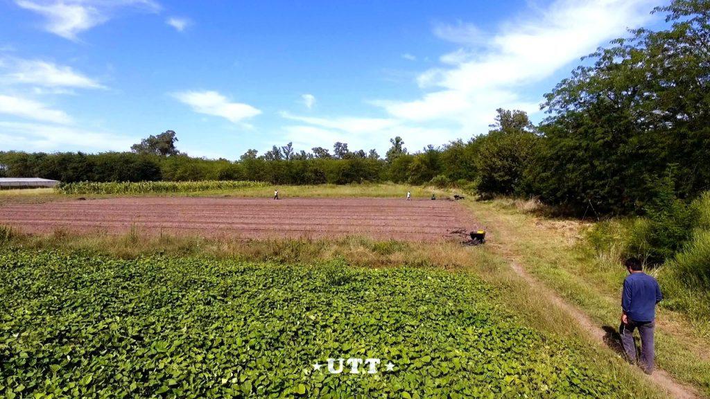 WhatsApp-Image-2020-04-03-at-11.11.27-2-1-1024x576