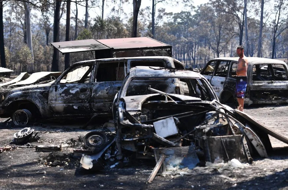 NINTCHDBPICT000539340885-e1573655002301