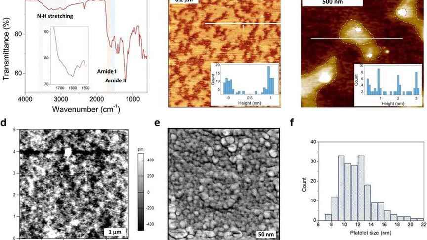 648945340_221719643_864x486