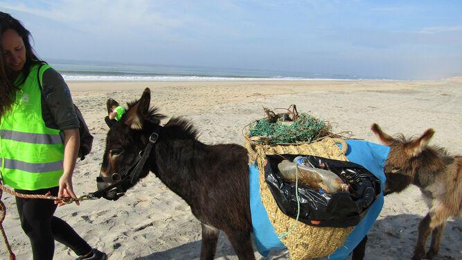 alforjas-cargadas-basura-recogida_1433566833_116238619_667x375