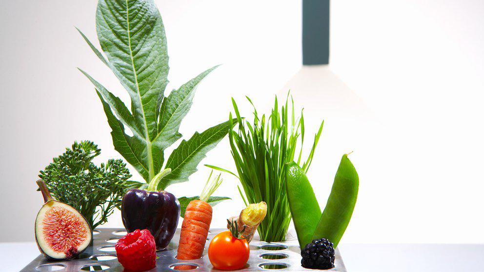 DHSPS7K5R5C5TERHOXO7UYR53Q