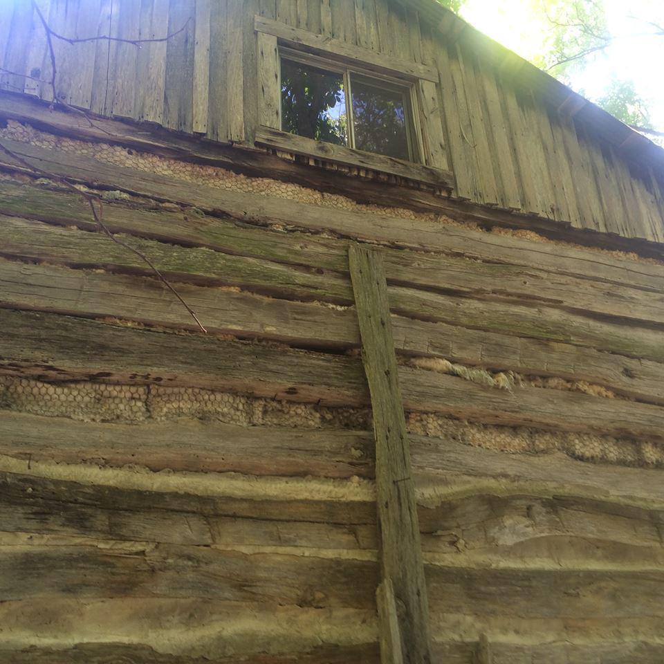 Anciana-fuera-de-la-red4