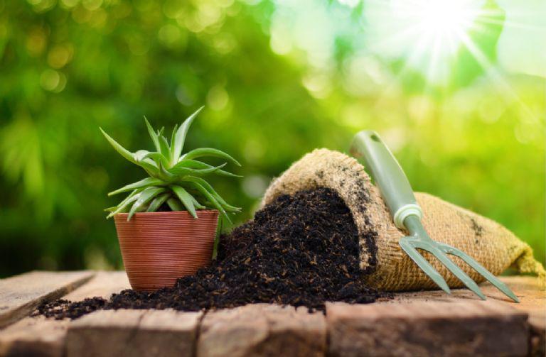 f768x1-1170576_1170703_13