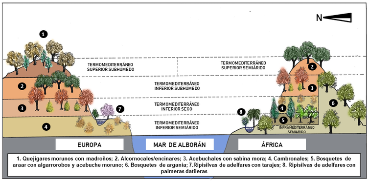 file-20200902-18-9822rm