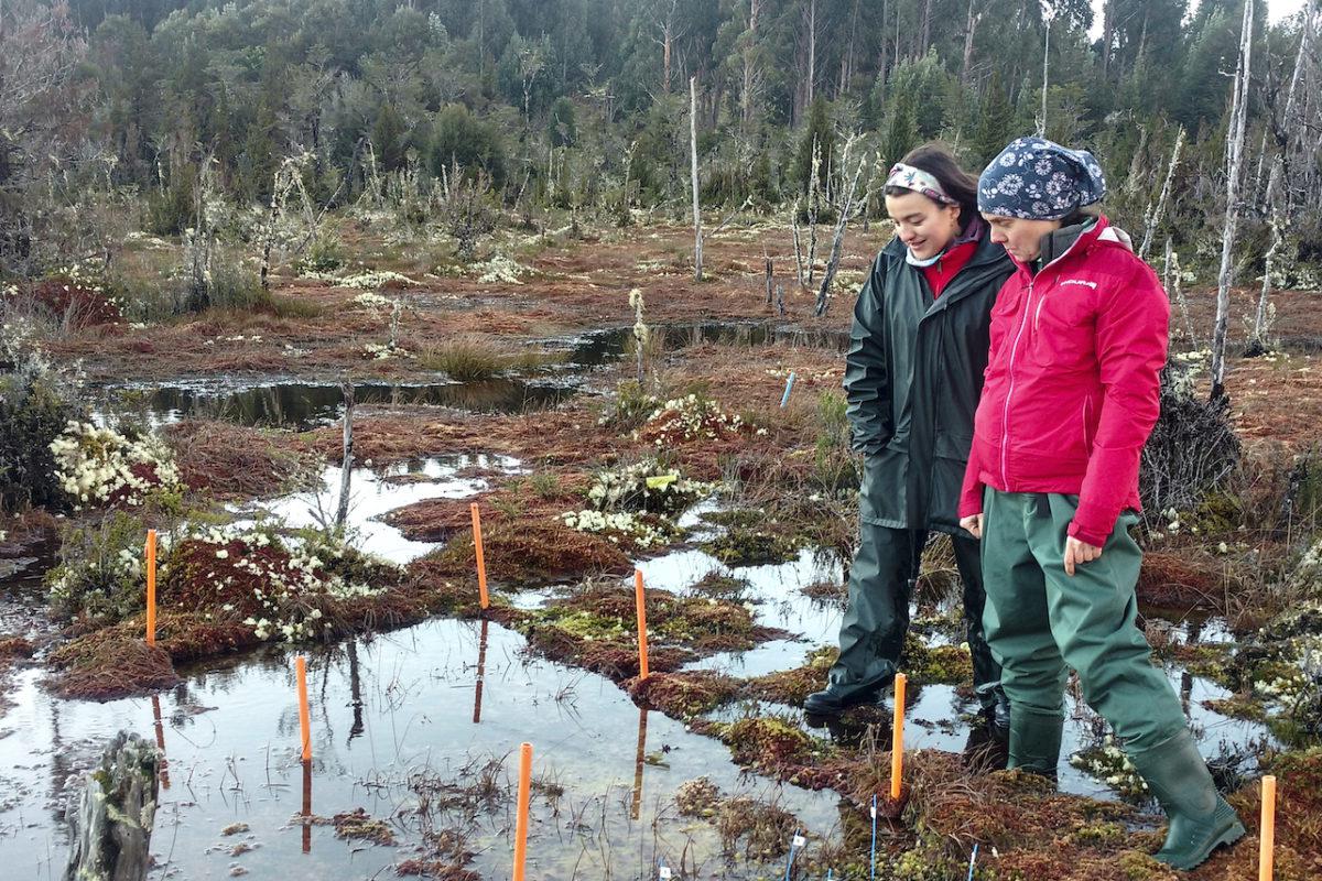 IMG_20170610_171058965-e1620658780348-1200x800