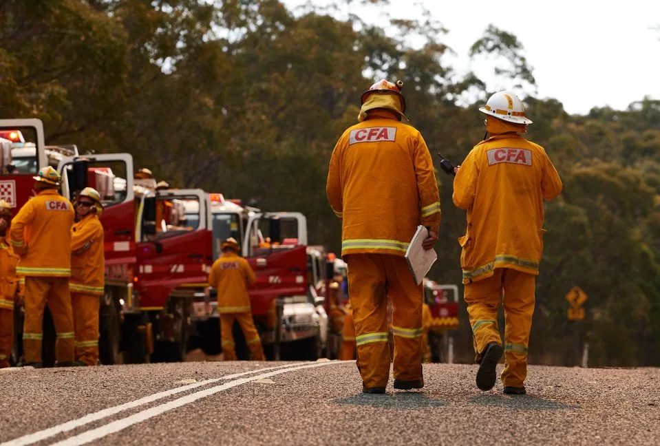 NINTCHDBPICT000539407888-e1573652977652