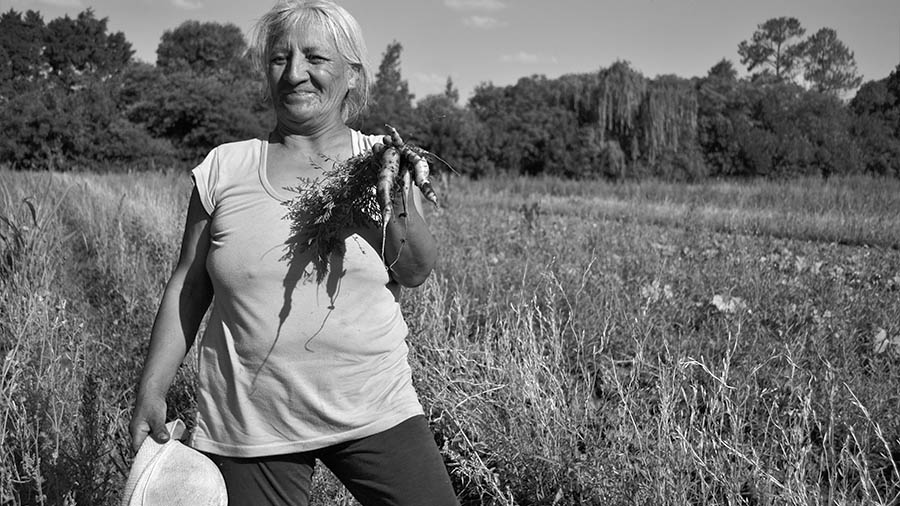 rosa-toloba-agroecologia-campesina-alimentos-sanos