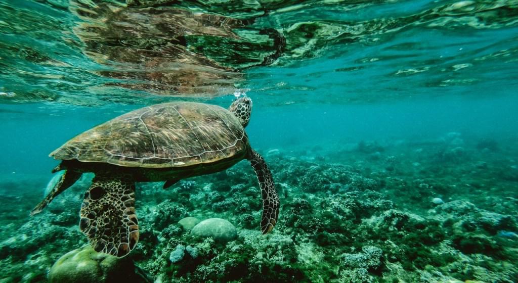 pexels-belle-co-847393-2