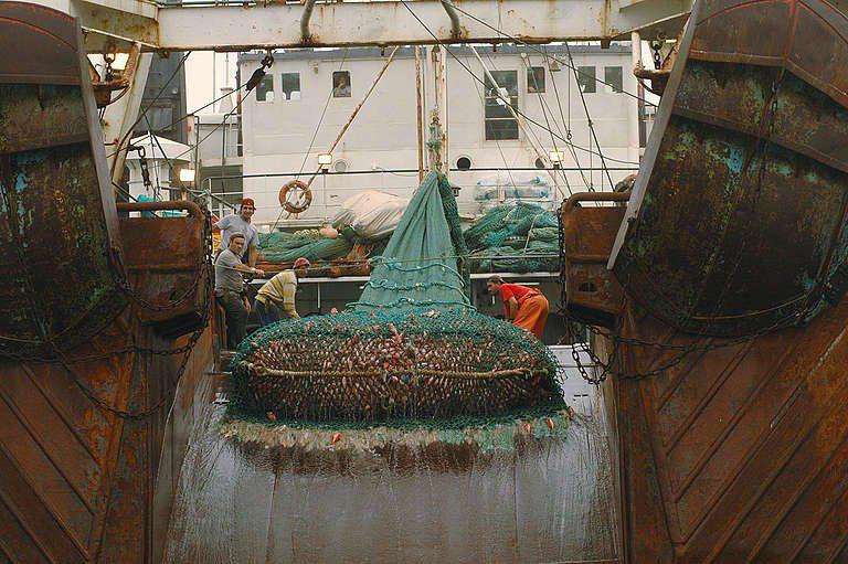 img_20200302_110137199413273525985985