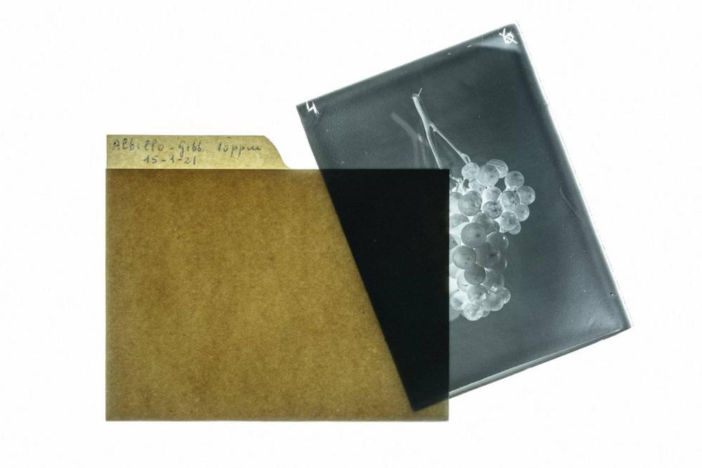 1591716076_035335_1591967260_sumario_normal_recorte1