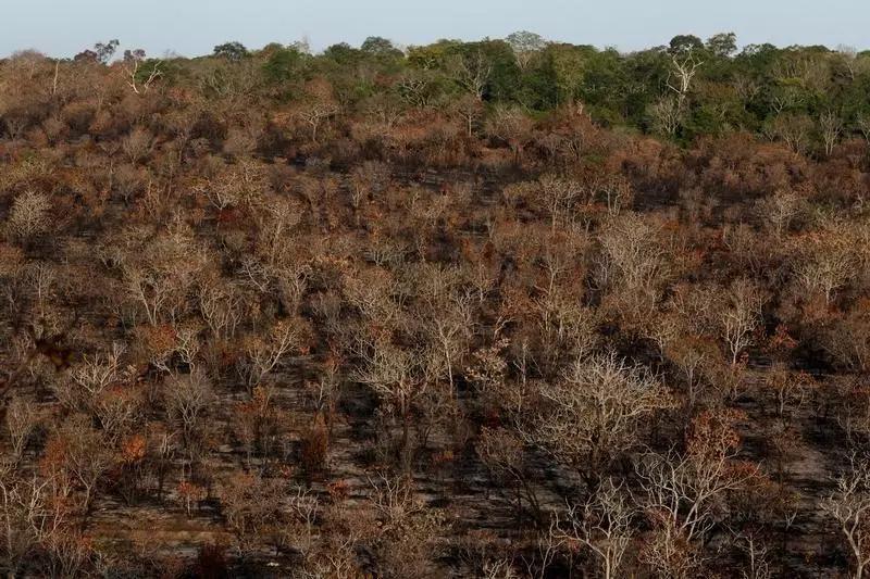 responsive_large_webp_oqLwSVK2RnSkWPtdT5G69OQqBF88jaJKOQD4s5qtc8c