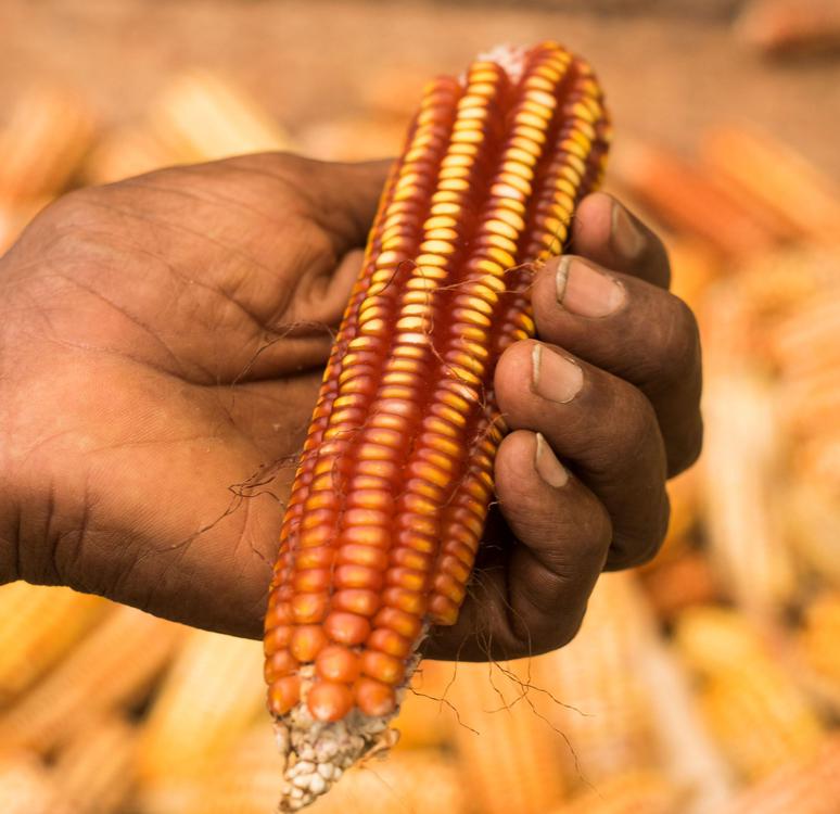 da81607a-ce3d-41e8-9432-150ece669ff1