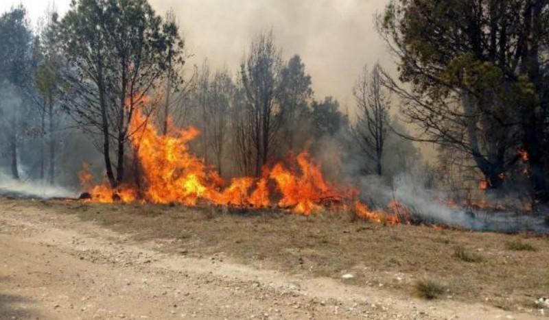 una-consecuencia-del-calentamiento-imagenes-acompanan-este-articulo-incendio-san-javier-octubre-ano-pasado-producto-cinco-meses-sin-lluvias-que-906614-065758