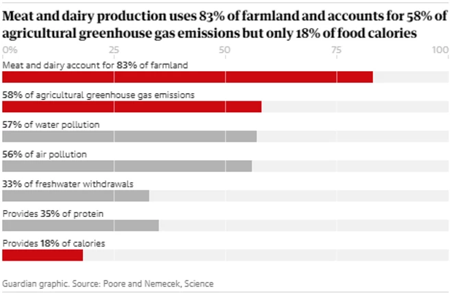 11c77a_55c69f2c9dab4db794851ce2e6c82390_mv2