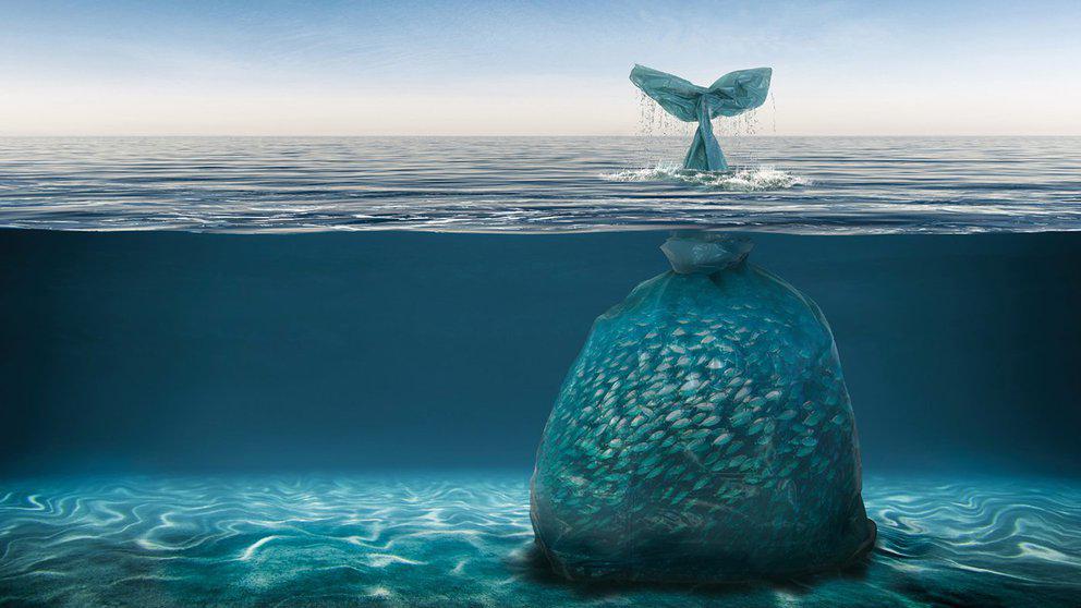 EBUPPJJ4ZRCJPGUBQWMKNAJY6E