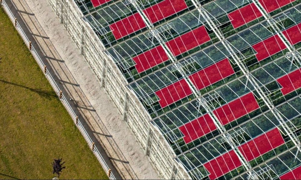 Invernaderos-solares-inteligentes-de-la-Universidad-de-Santa-Cruz2