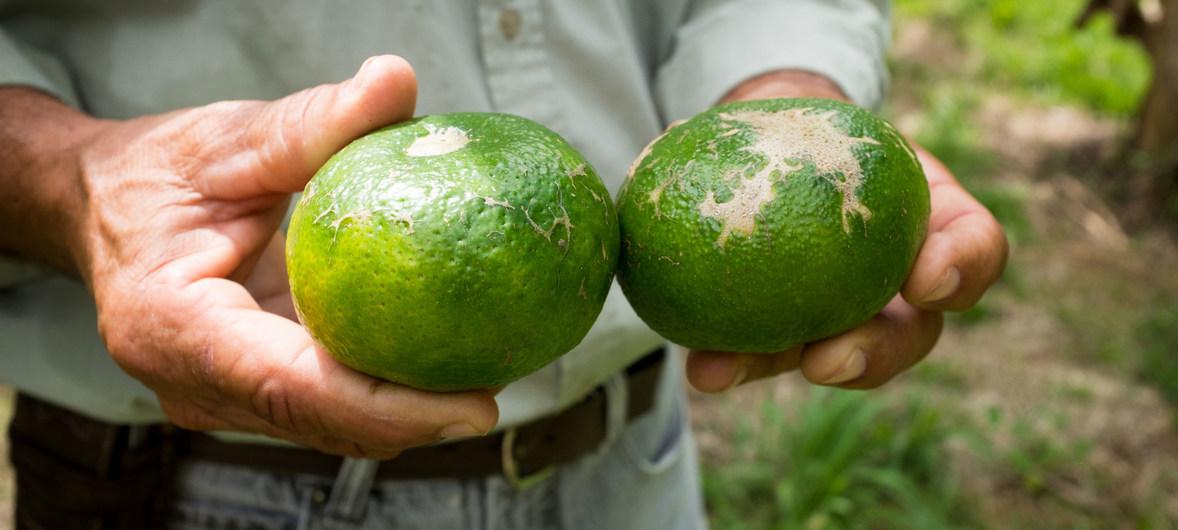 image1170x530cropped (6)