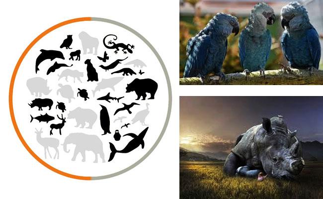 60-de-los-animales-del-planeta-tierra-han-sido-exterminados2