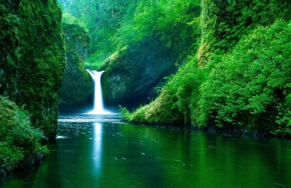 el-medio-ambiente-catarata-m-ambiente-600x389