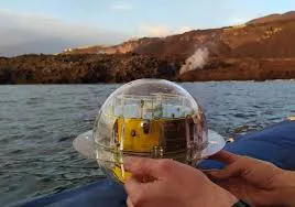 descarga (1)