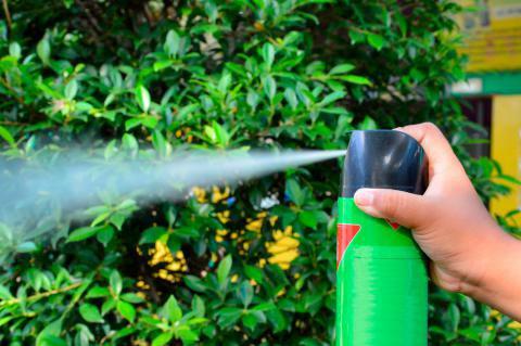 insecticida20200217-916769