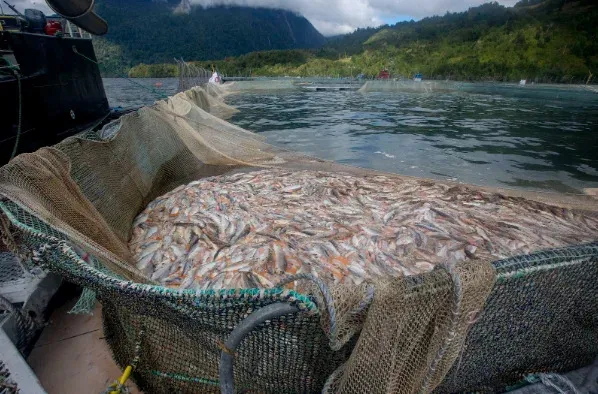 Captura-de-pantalla-2025-09-16-152242_1