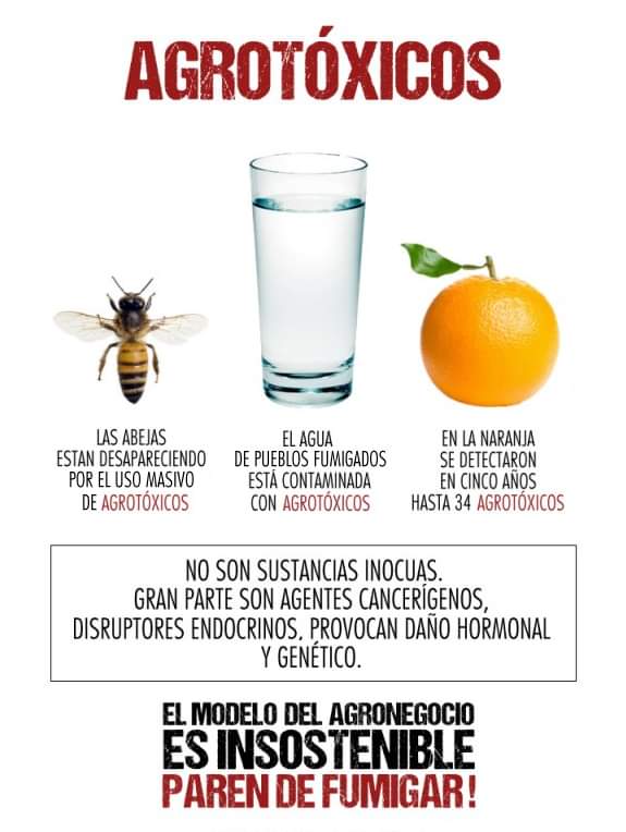 WhatsApp Image 2019-07-17 at 13.50.05