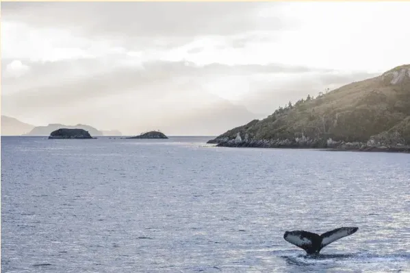 Captura-de-pantalla-2025-09-16-153703