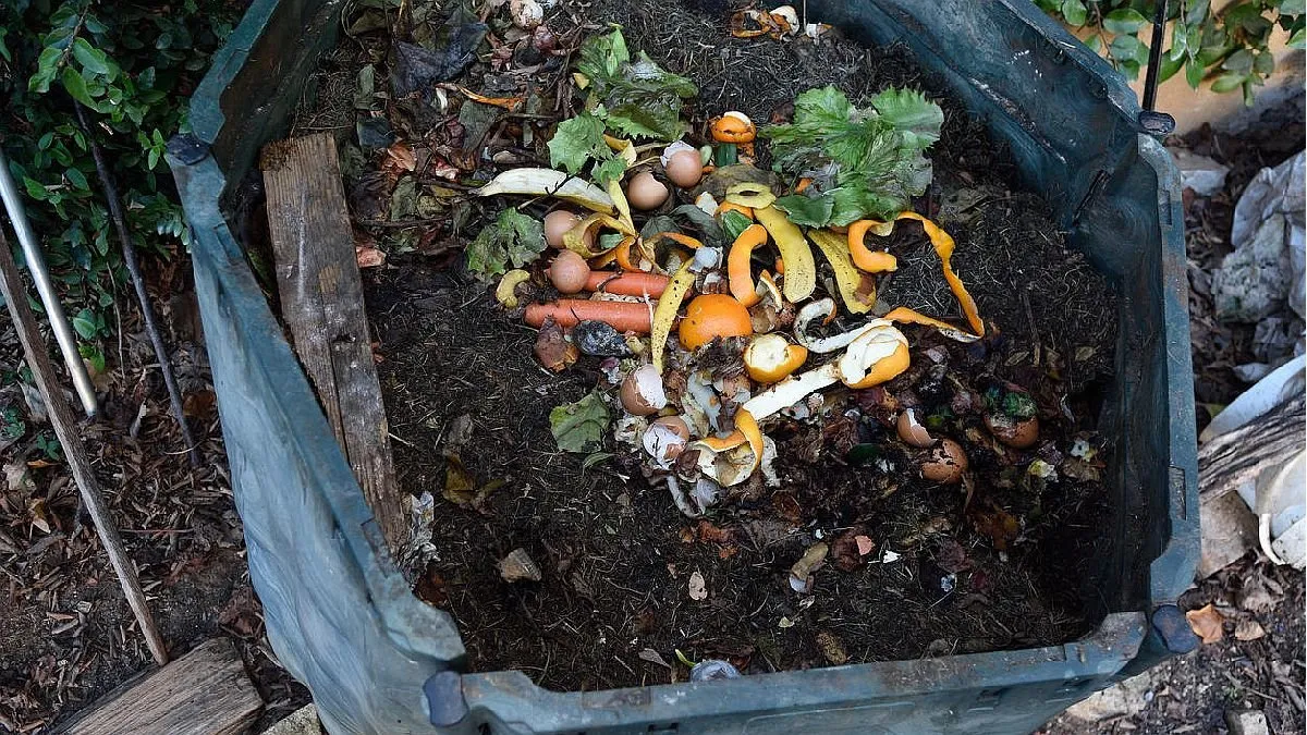 compost-tierrajpg